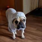 Ersteller:in Karin Profilbild