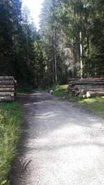 Hundeauslaufgebiet-Altensteig Dorf und Umgebung-Bild