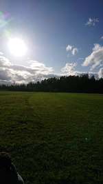 Hundeauslaufgebiet-Altensteig Dorf und Umgebung-Bild