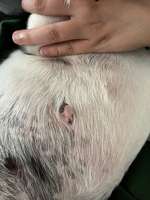 Weiß jemand was das sein könnte?-Beitrag-Bild