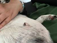 Weiß jemand was das sein könnte?-Beitrag-Bild