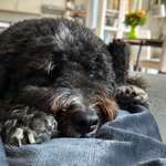 Ersteller:in Martina Profilbild