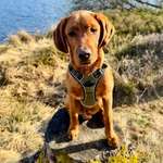 Ersteller:in Christian Profilbild