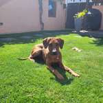 Ersteller:in Tanja Profilbild