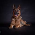 Ersteller:in Michaela Profilbild