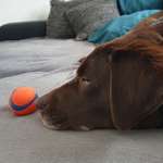 Ersteller:in Elen Profilbild