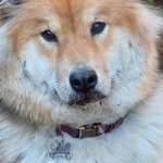 Ersteller:in Andrea Profilbild