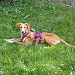 Ersteller:in Michael Profilbild