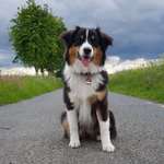 Ersteller:in Vanessa Profilbild