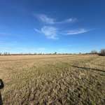 Hundeauslaufgebiet-Elbwiesen-Bild