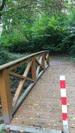 Hundeauslaufgebiet-Am Regenrückhaltebecken Maikammer-Bild