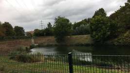 Hundeauslaufgebiet-Am Regenrückhaltebecken Maikammer-Bild