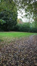 Hundeauslaufgebiet-Am Regenrückhaltebecken Maikammer-Bild