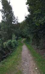 Hundeauslaufgebiet-Am Regenrückhaltebecken Maikammer-Bild