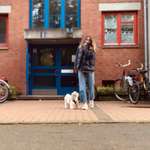 Ersteller:in Ari Profilbild