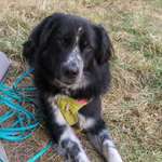 Ersteller:in Claudius Profilbild