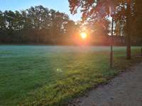 Hundeauslaufgebiet-Hagen-Bild