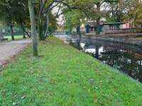 Hundeauslaufgebiet-Hagen-Bild