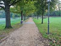 Hundeauslaufgebiet-Hagen-Bild