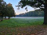 Hundeauslaufgebiet-Hagen-Bild