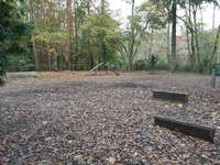 Hundeauslaufgebiet-Am Steinbergpark-Bild