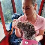 Ersteller:in Tina Profilbild