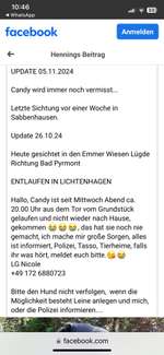 Suchmeldung-Candy-Bild