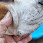 Was ist das?-Beitrag-Bild