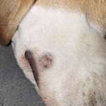 Was ist das?-Beitrag-Bild