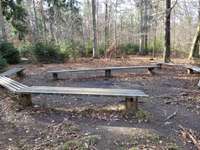 Hundeauslaufgebiet-Berglwald-Bild