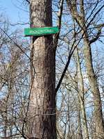 Hundeauslaufgebiet-Berglwald-Bild