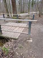 Hundeauslaufgebiet-Hartmannshofer Park-Bild