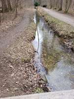 Hundeauslaufgebiet-Hartmannshofer Park-Bild