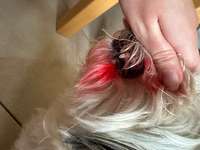 Unbekannte rote Farbe im Gesicht-Beitrag-Bild