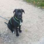 Ersteller:in Jasmin Profilbild