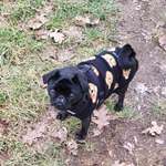 Ersteller:in Bea Profilbild