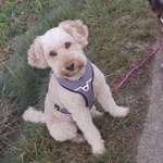 Ersteller:in Lara Profilbild