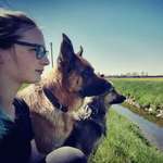 Ersteller:in Tamara Profilbild