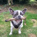 Ersteller:in Luisa Profilbild