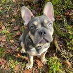 Ersteller:in Sarah Profilbild