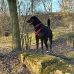 Ersteller:in Josefine Profilbild