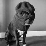 Ersteller:in Mirjam Profilbild