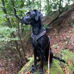 Ersteller:in Mali Profilbild