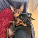 Ersteller:in Isa Profilbild