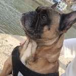 Ersteller:in Karina Profilbild