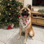 Ersteller:in Melissa Profilbild