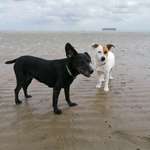 Ersteller:in Ca Profilbild