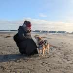 Ersteller:in Talea Profilbild