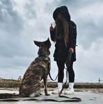 Ersteller:in Jule Profilbild