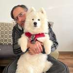 Ersteller:in Pamuk mit Profilbild